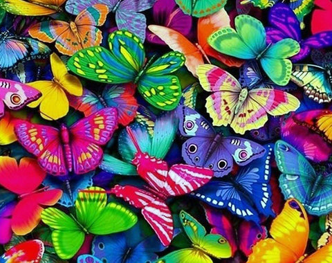 Diamond painting kit Rainbow Butterflies WD057 - Hobby.lt 🇬🇧