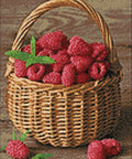 Diamond painting kit Raspberry Basket WD252 - Hobby.lt 🇬🇧