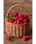 Diamond painting kit Raspberry Basket WD252 - Hobby.lt 🇬🇧