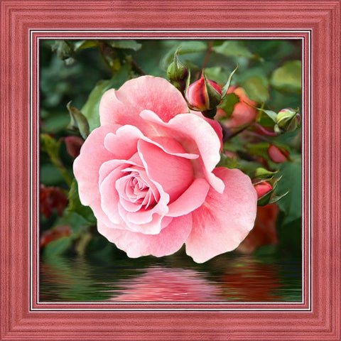 Diamond Painting Kit Rose by the Water AZ-1704 25x25cm