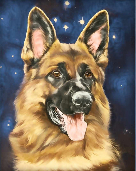 Diamond Painting Kit Sheepdog Portrait AZ-1539 20_25cm