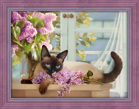 Diamond Painting Kit Siamese Lady AZ - 1688 40x30cm - Hobby.lt 🇬🇧