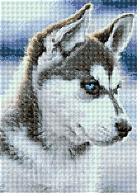 Diamond painting kit Snow Dog WD088 - Hobby.lt 🇬🇧