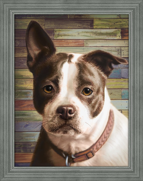 Diamond Painting Kit Staffordshire Terrier AZ-1701 30x40cm