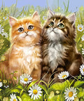 Diamond painting kit Summer Kittens WD209 - Hobby.lt 🇬🇧