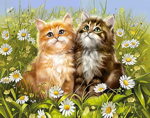 Diamond painting kit Summer Kittens WD209 - Hobby.lt 🇬🇧