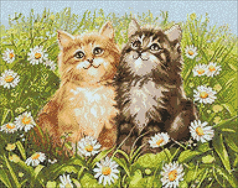 Diamond painting kit Summer Kittens WD209 - Hobby.lt 🇬🇧