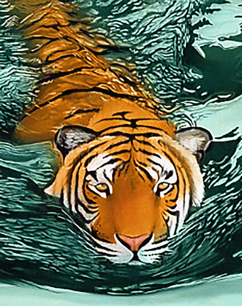 Diamond painting kit Tiger Waters WD2413