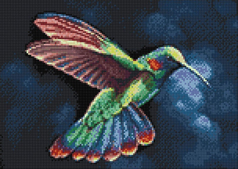 Diamond painting kit Tropic Bird WD058 - Hobby.lt 🇬🇧