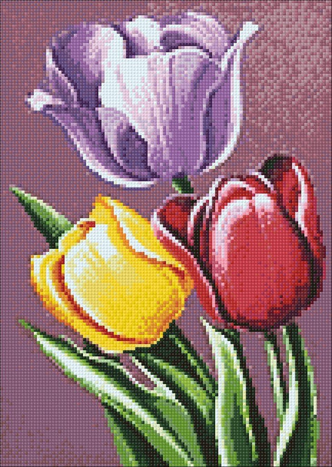 Diamond painting kit Tulip Aroma WD021 - Hobby.lt 🇬🇧