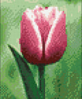 Diamond painting kit Tulip WD300 - Hobby.lt 🇬🇧