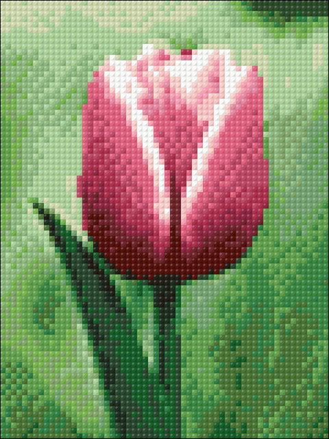 Diamond painting kit Tulip WD300 - Hobby.lt 🇬🇧