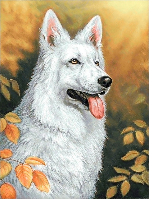 Diamond painting kit White Dog 30*40 cm WD2678