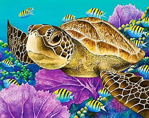 Diamond painting kit Young Green Sea Turtle WD2428 - Hobby.lt 🇬🇧