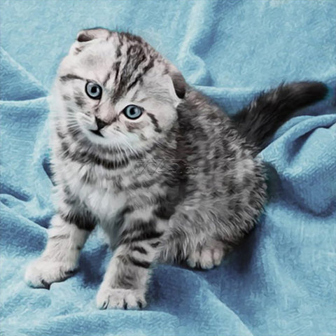 Diamond painting Kitten AZ - 1465 Size: 40х40 - Hobby.lt 🇬🇧