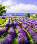 Diamond painting Lavender Field AZ - 1338 Size: 40*30 - Hobby.lt 🇬🇧