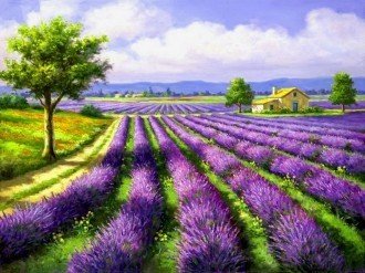 Diamond painting Lavender Field AZ - 1338 Size: 40*30 - Hobby.lt 🇬🇧