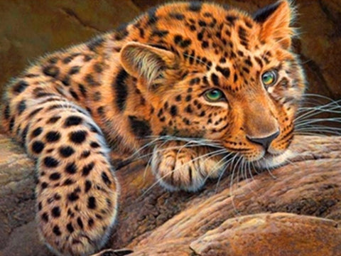 Diamond painting Leopard AZ-1356 Size: 30*40