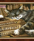 Diamond painting Librarian Cat AZ - 1516 Size: 40х30 - Hobby.lt 🇬🇧