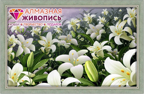 Diamond painting Lilac AZ - 509 Size: 70х44 - Hobby.lt 🇬🇧