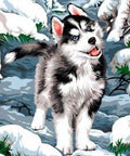 Diamond painting Little Husky AZ - 1284 Size: 50х40 - Hobby.lt 🇬🇧