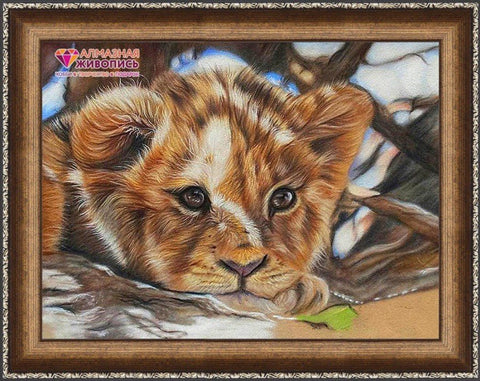 Diamond painting Little Lion AZ - 1524 Size: 40х30 - Hobby.lt 🇬🇧