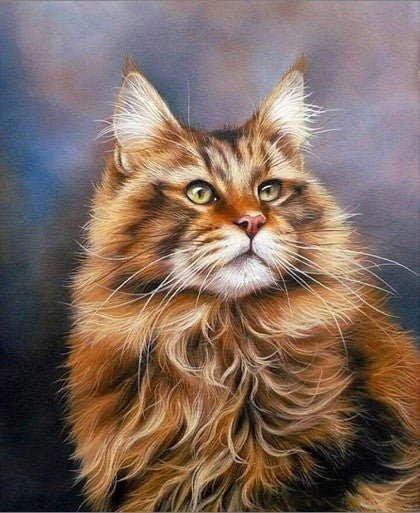 Diamond painting Maine Coon AZ - 1416 Size: 30х40 - Hobby.lt 🇬🇧