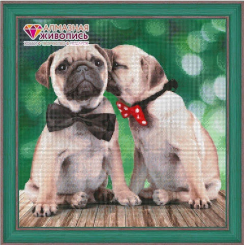 Diamond painting Mops AZ - 1460 Size: 40х40 - Hobby.lt 🇬🇧