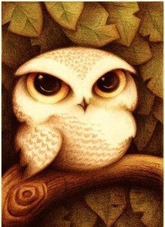 Diamond painting Owl AZ-365 Size: 25x30