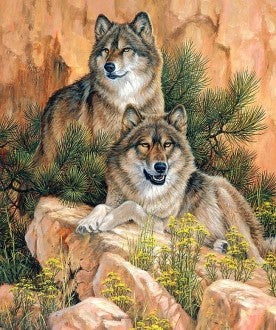 Diamond painting Pair of Wolves AZ-1052 Size: 38х55