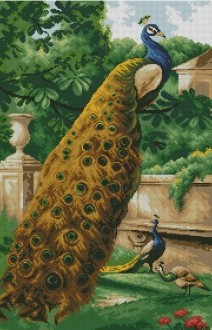 Diamond painting Peacock in the Garden AZ-1228 Size: 45х70