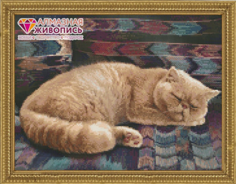 Diamond painting Persian Cat AZ-1462 Size: 40х30