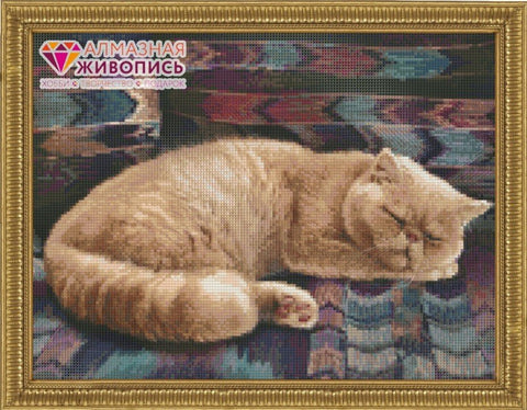 Diamond painting Persian Cat AZ - 1462 Size: 40х30 - Hobby.lt 🇬🇧