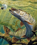 Diamond painting Pike AZ - 1141 Size: 50х50 - Hobby.lt 🇬🇧