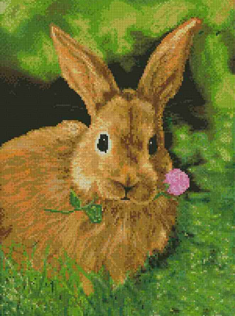 Diamond painting Rabbit AZ - 1082 Size: 38х52 - Hobby.lt 🇬🇧