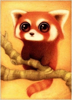 Diamond painting Racoon AZ-369 Size: 25x30