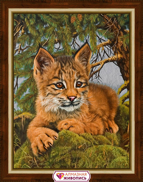 Diamond painting Small Lynx AZ-1525 Size: 30х40