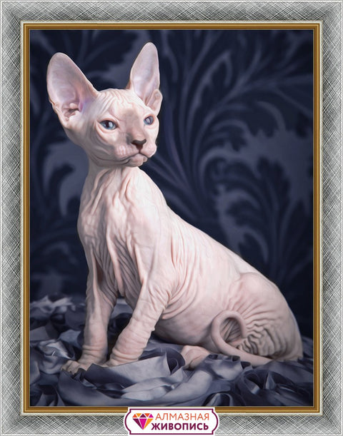 Diamond painting Sphynx cat AZ-1456 Size: 30х40