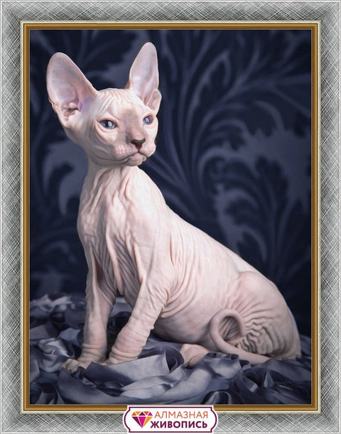 Diamond painting Sphynx cat AZ - 1456 Size: 30х40 - Hobby.lt 🇬🇧