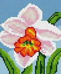 Diamond painting Summer Narciss AZ - 1078 Size: 15х15 - Hobby.lt 🇬🇧