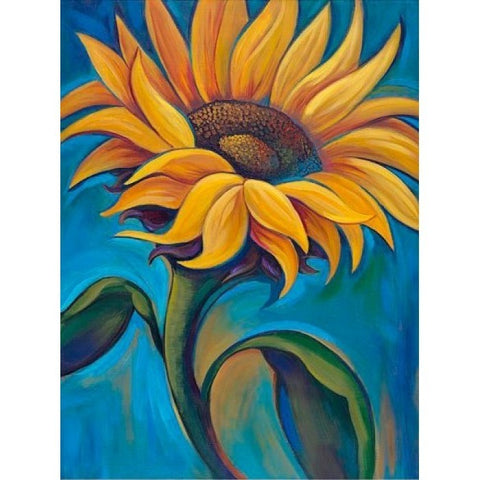 Diamond painting Sun Illusion AZ-1392 Size: 24х30