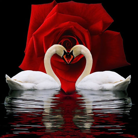 Diamond painting Swan Devotion AZ-421 Size: 50x55