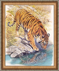 Diamond painting Tiger near the River AZ - 1523 Size: 40х50 - Hobby.lt 🇬🇧
