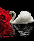 Diamond painting White Swan AZ - 422 Size: 50х55 - Hobby.lt 🇬🇧