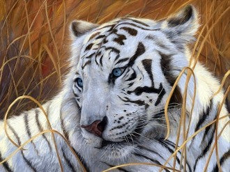 Diamond painting White Tiger AZ-1401 Size: 40х30