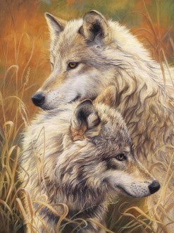 Diamond painting Wolf Tendernes AZ-1403 Size: 30х40