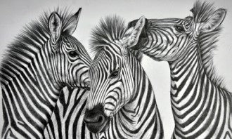 Diamond painting Zebras AZ-1183 Size: 50х30