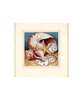 Shell Collage (13 x 13 cm) - Cross Stitch Kit by DIMENSIONS