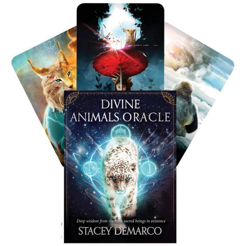 Divine Animals Oracle cards Rockpool - Hobby.lt 🇬🇧