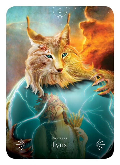 Divine Animals Oracle cards Rockpool - Hobby.lt 🇬🇧